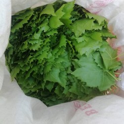 Asma_Yapraği (1 kg)