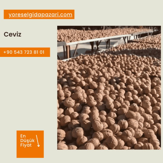 Taze Ceviz (1kg)
