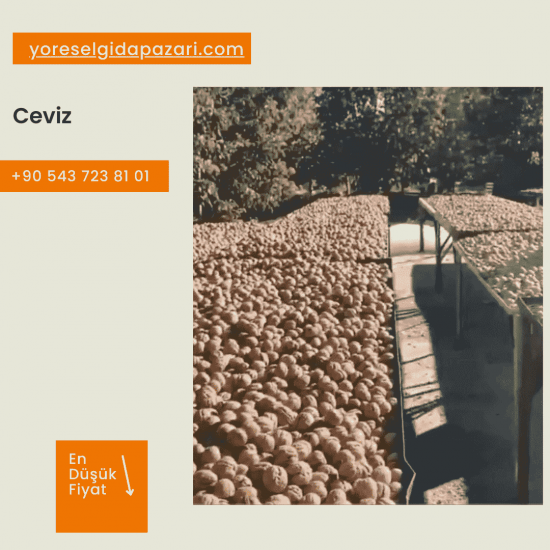 Taze Ceviz (1kg)