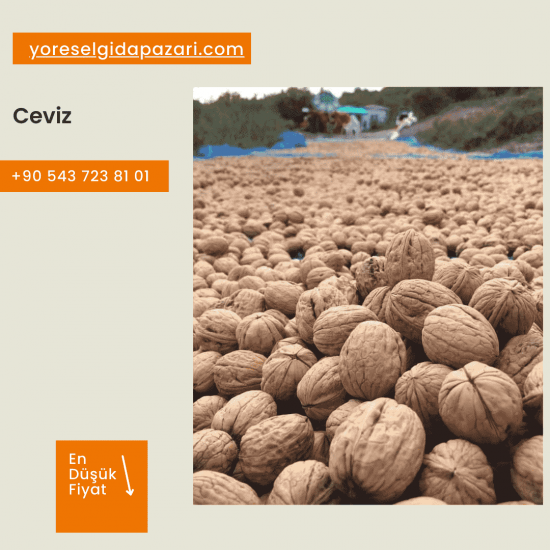 Taze Ceviz (1kg)