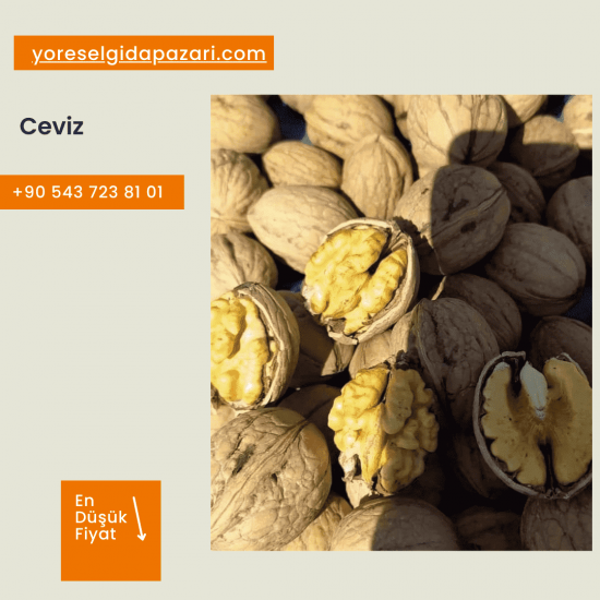 Taze Ceviz (1kg)