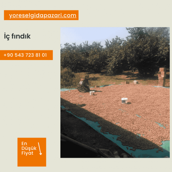 Kabuklu Fındık (1 kg)