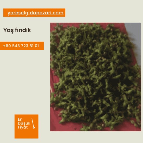 Taze Fındık (Yaş)-1kg